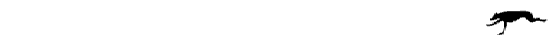 Runninggrey-x.gif