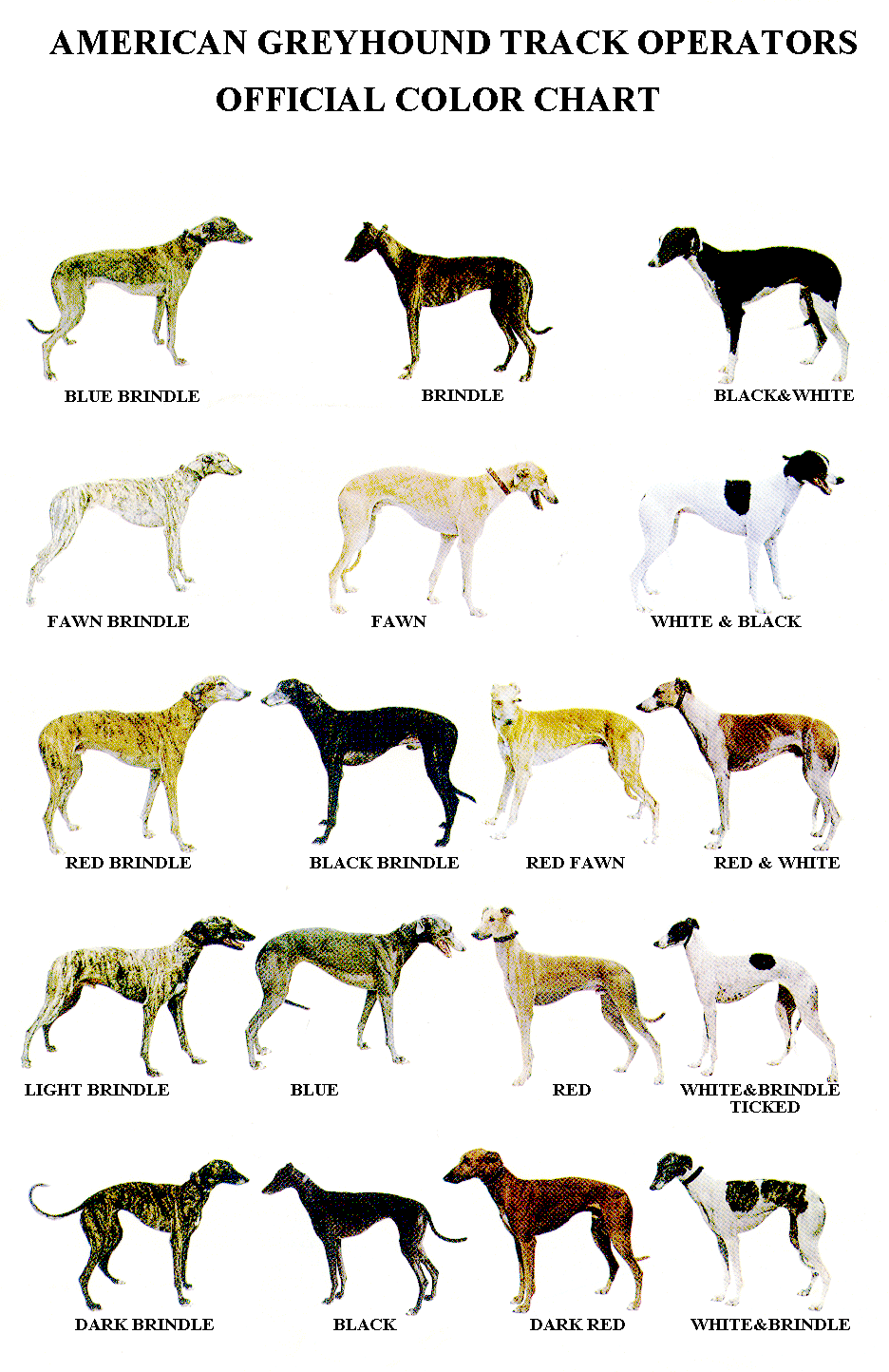 AMERICAN GREYHOUND TRACK OPERATORS OFFICIAL COLOR CHART